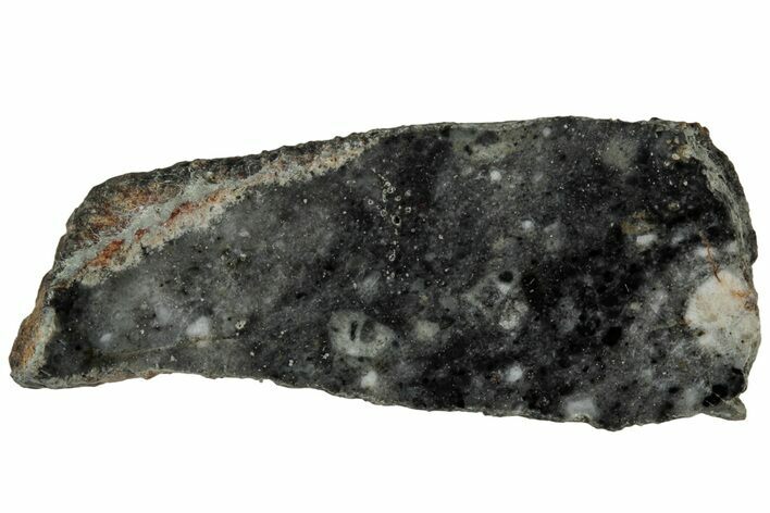 Lunar Meteorite Slice ( g) - Bechar #313005